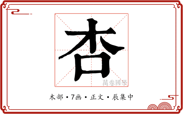 杏
