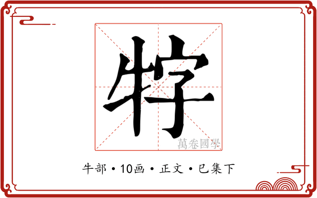 牸