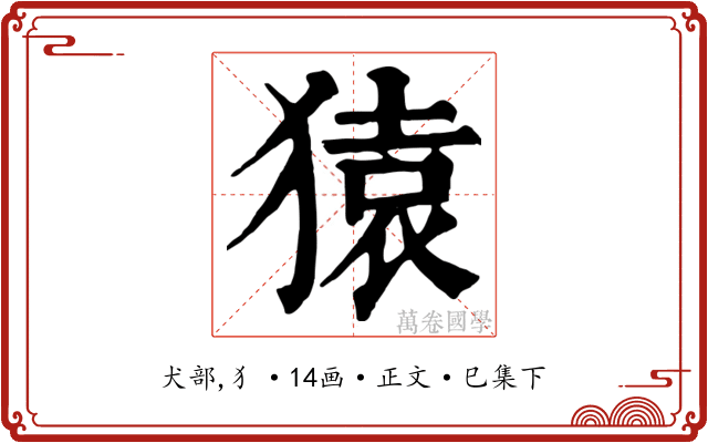 猿
