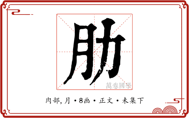 肋