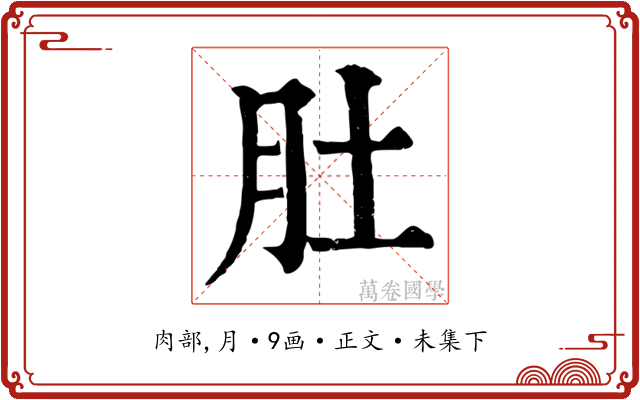 肚
