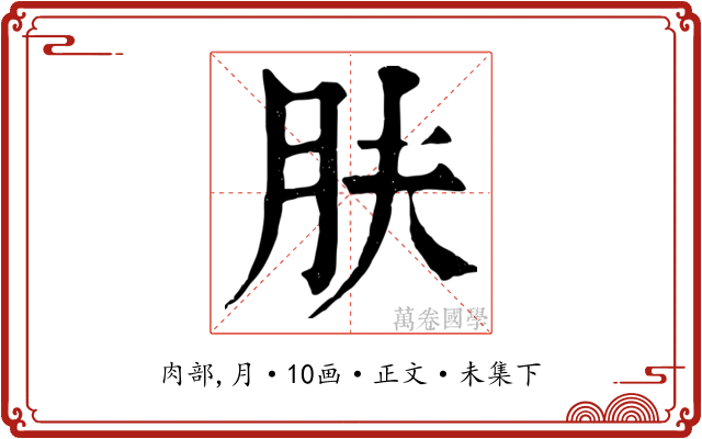 肤