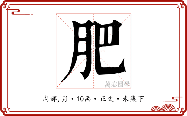 肥