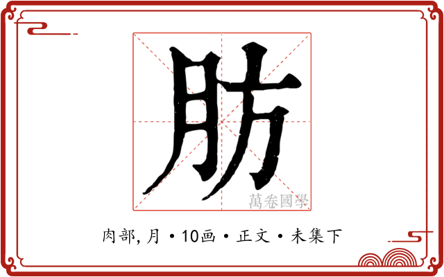 肪