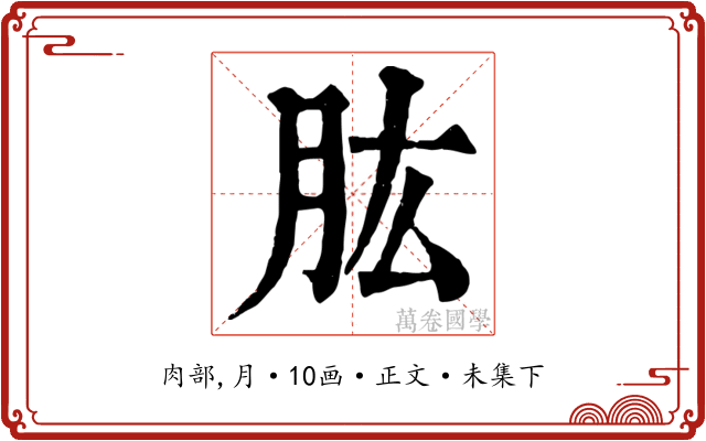 肱