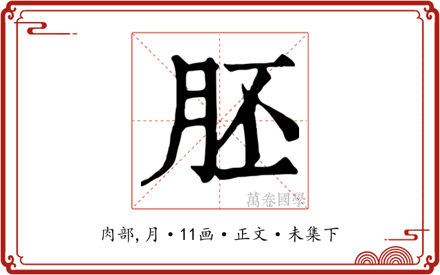 胚