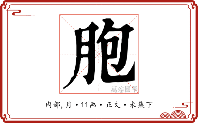 胞