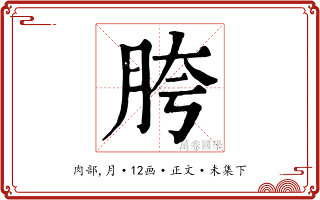 胯