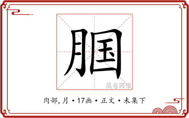 腘