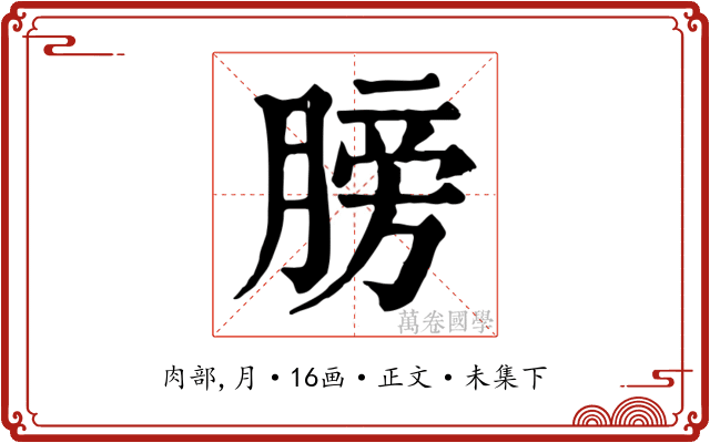 膀
