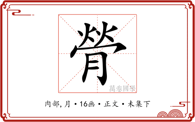 膋