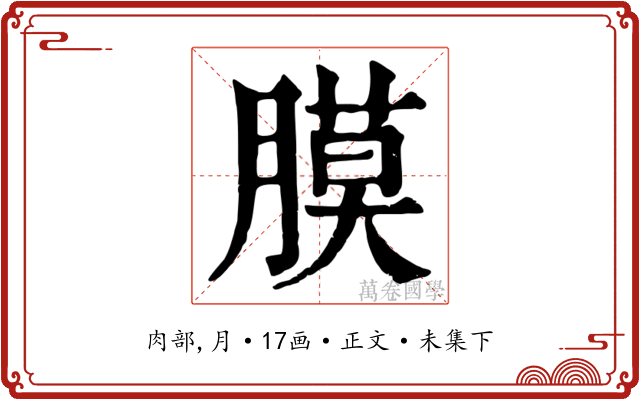 膜