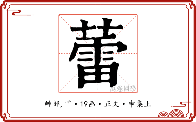 蕾