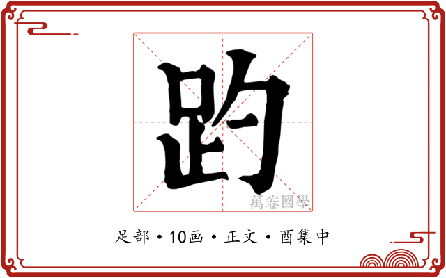 趵