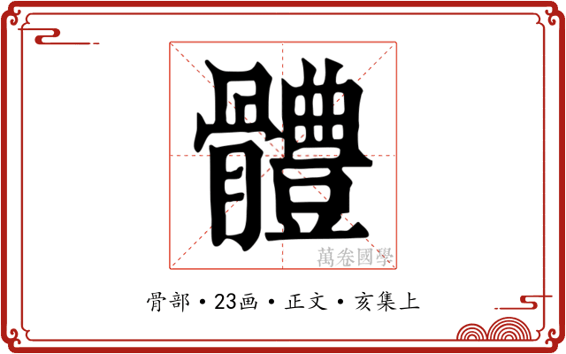體