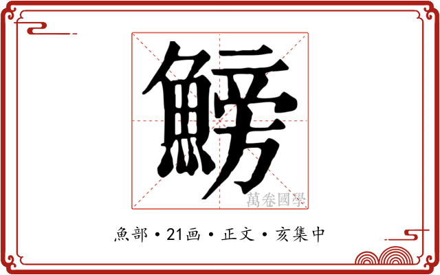 鰟