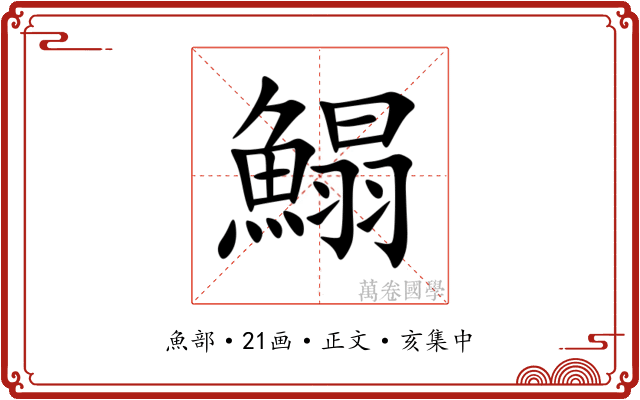 鰨