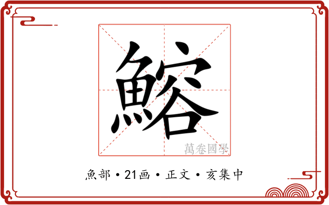 鰫
