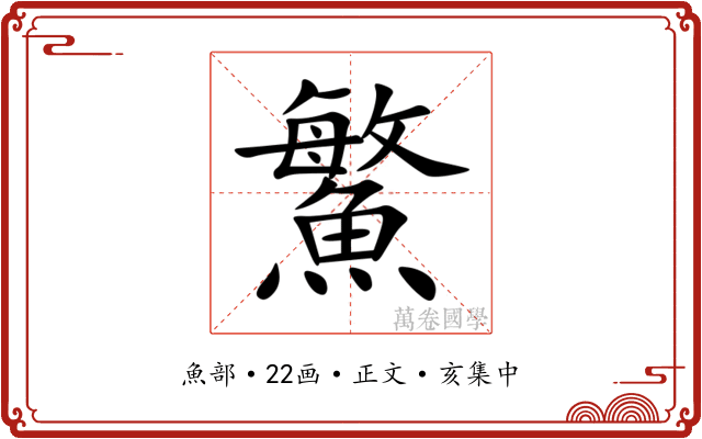 鰵