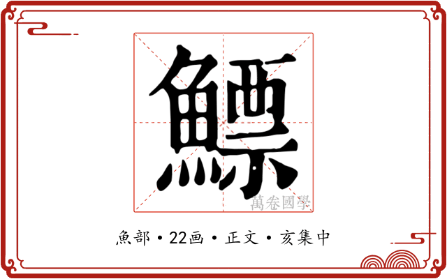 鰾
