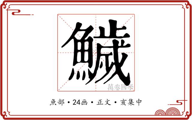 鱥