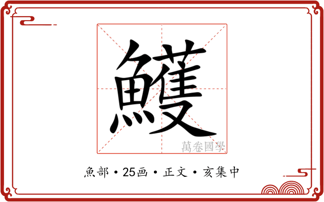 鱯
