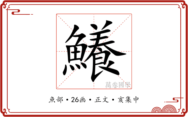 鱶