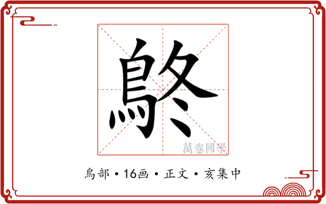 鴤