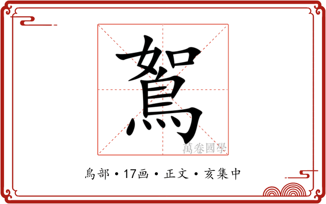 鴽