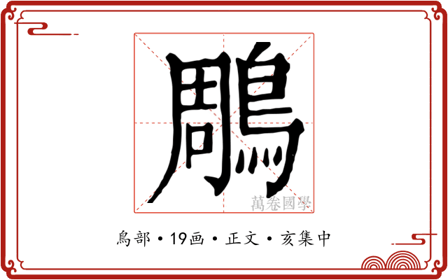 鵰