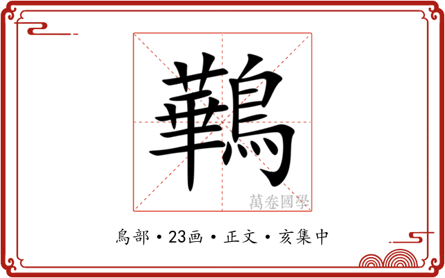 鷨