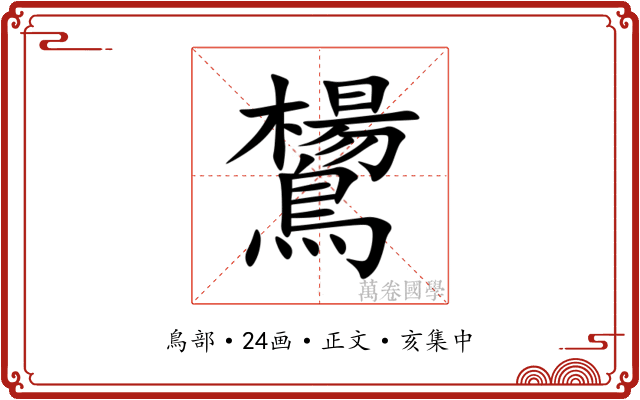 鸉