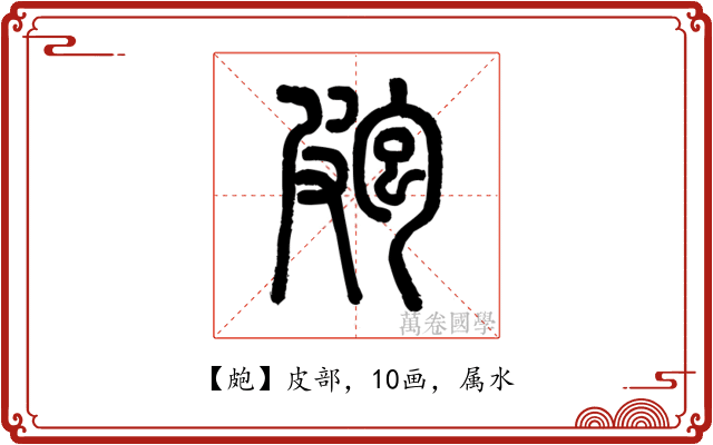 皰