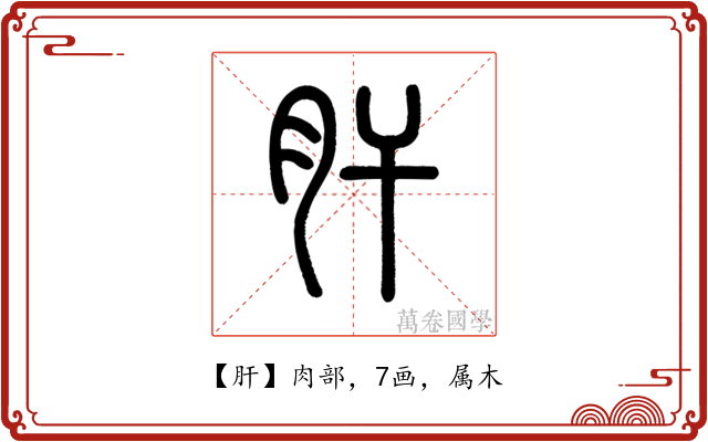 肝