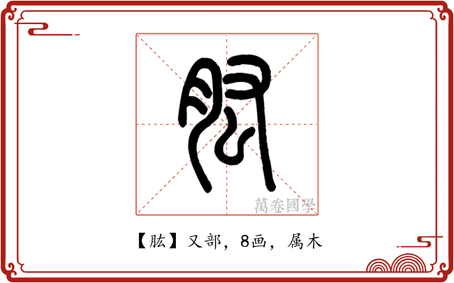 肱
