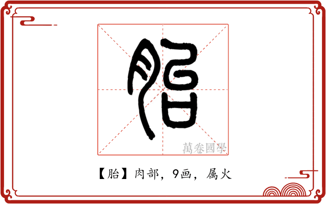 胎