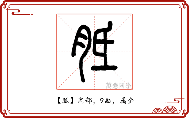 胝