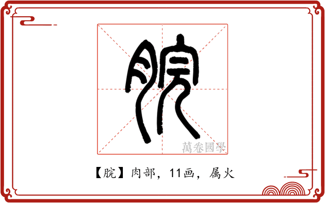 脘