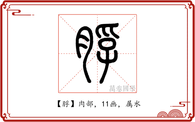 脬