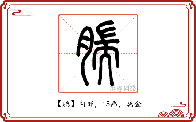 腨