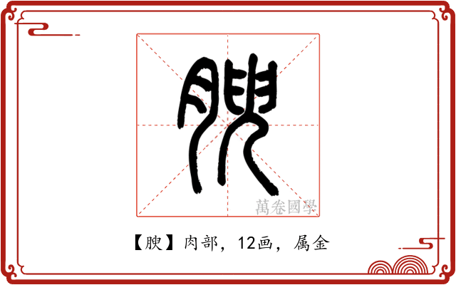 腴