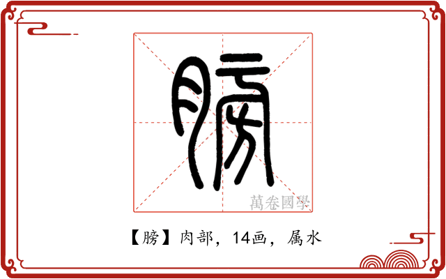 膀