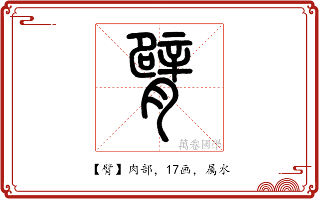 臂