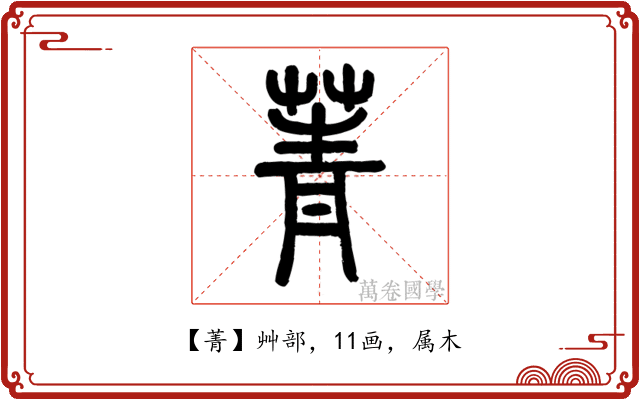 菁