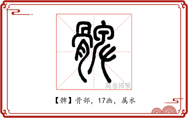 髀