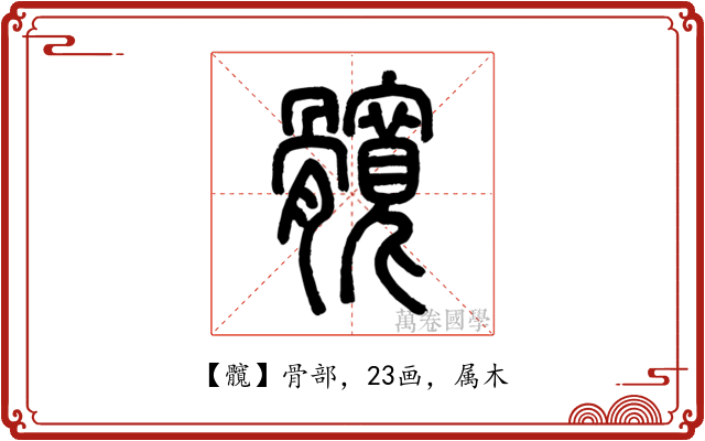 髖