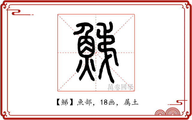 鮷