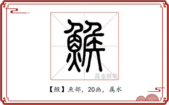 鯸