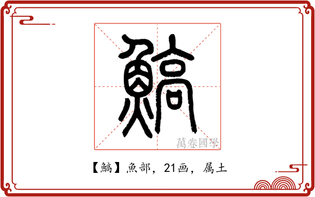 鰝