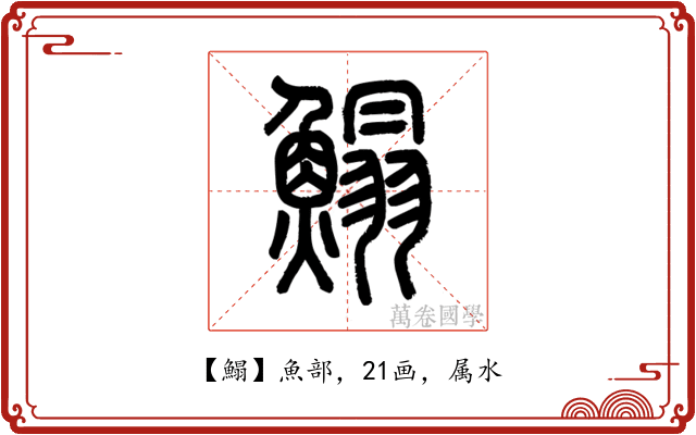 鰨